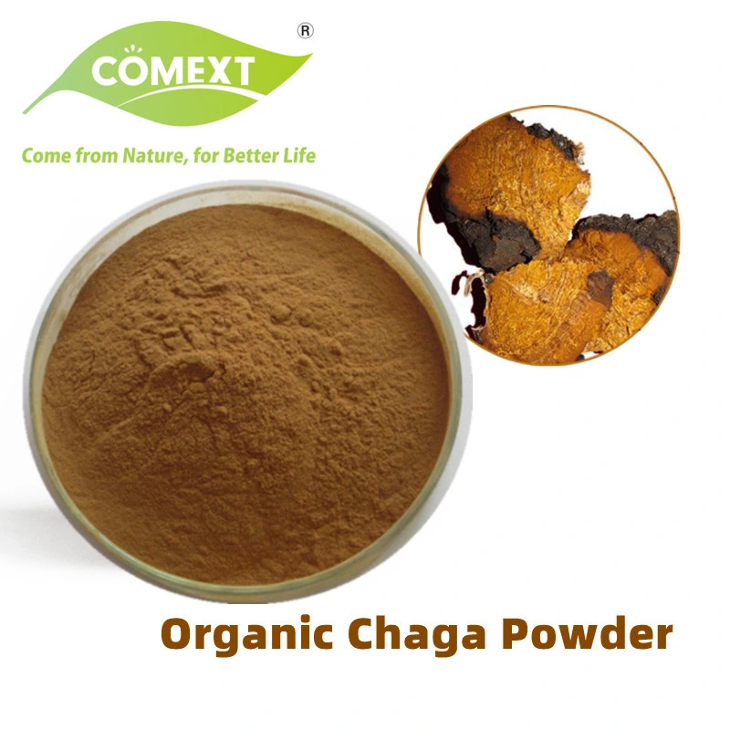 Comext Factory Health Pruduct for Anti-Oxidant Used in Pharmaceutical Product Chage Mushroom Extract